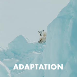 Adaptation vertikal