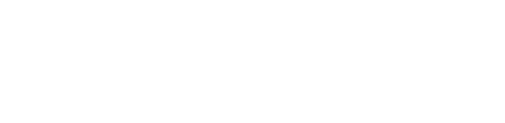 ryp Labs logo white